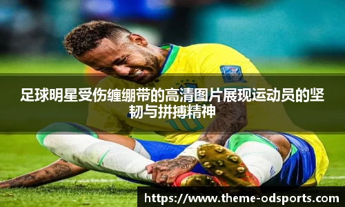 OD体育官网